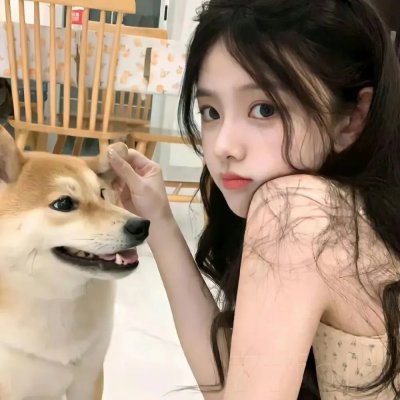 黑之契约者2:流星的双子